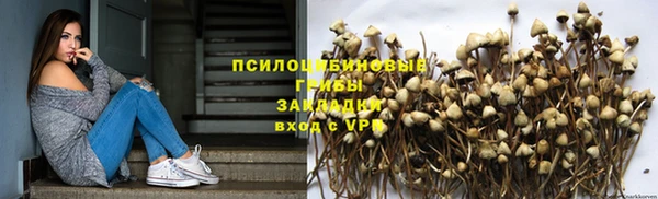 тгк Армянск