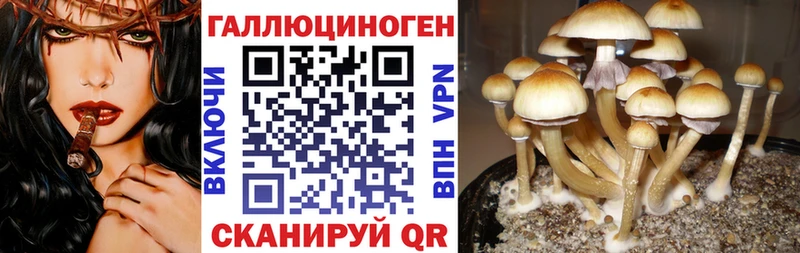 наркота  блэк спрут сайт  Галлюциногенные грибы GOLDEN TEACHER  Мензелинск 